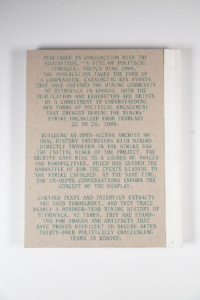 Hapësira e Përpjekjes Politike: Miniera e Trepçës 1989 product image