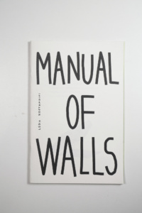 Manual of Walls product image