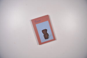 She Time Machine product image