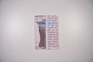Trans në Kosovë product image