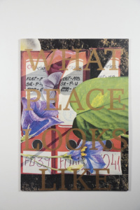 What Peace Looks Like product image