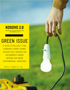 Green Issue book cover